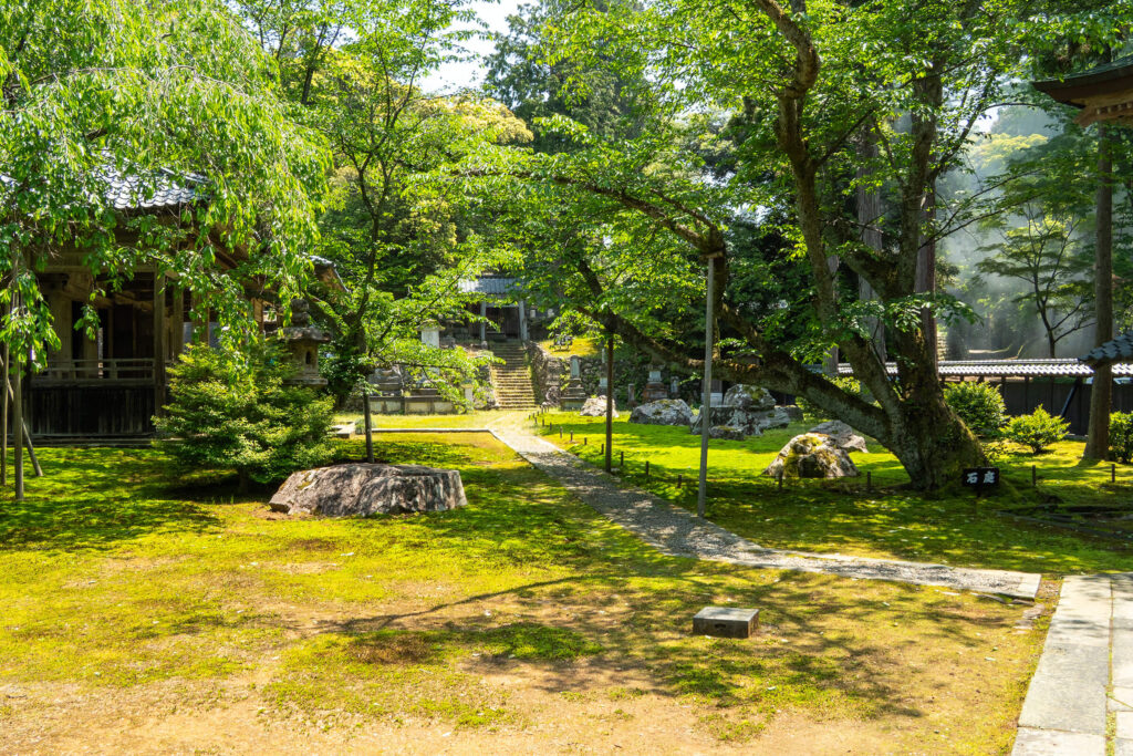 瀧谷寺(たきだんじ)