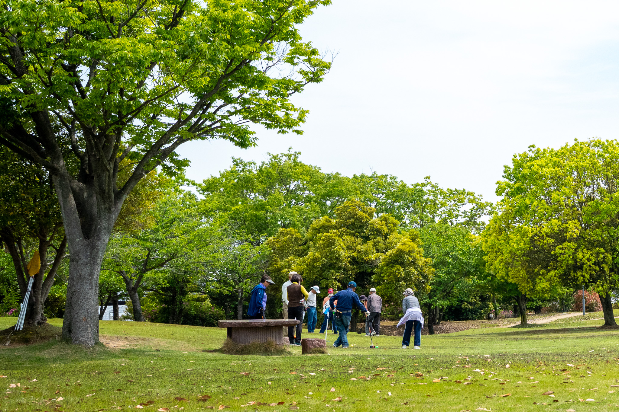 文化の森公園